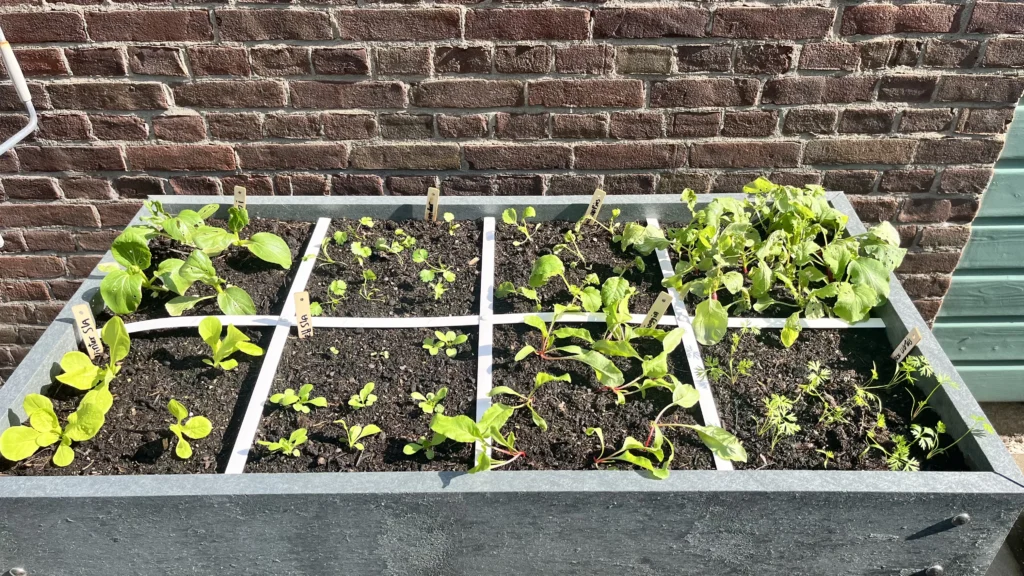 Slow living: Makkelijke moestuin