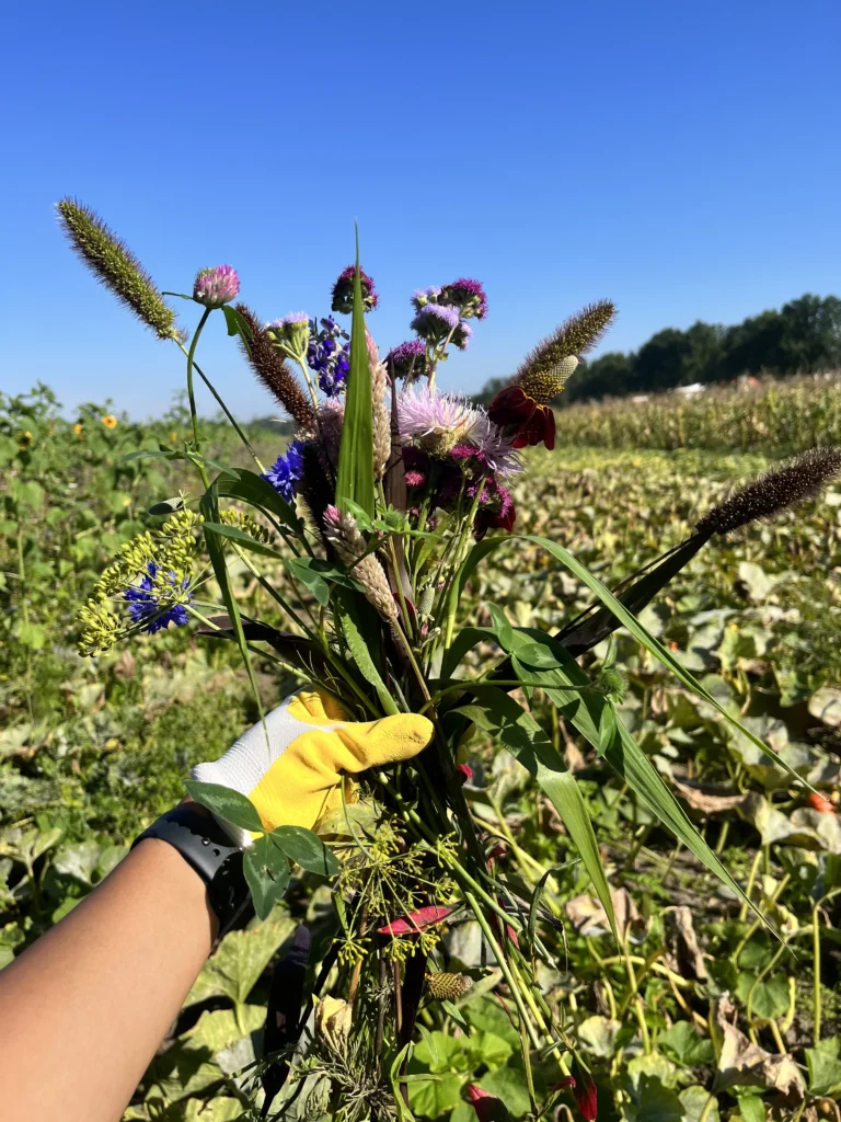 Bloemen plukken om te drogen