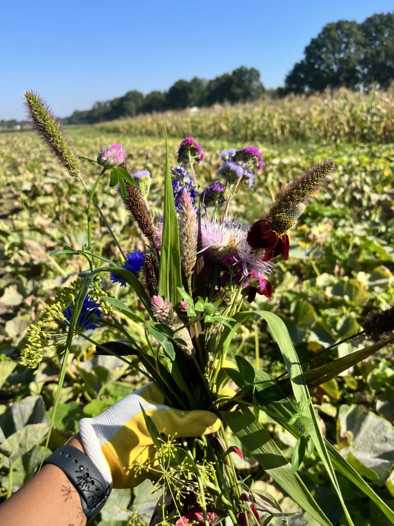 Bloemen uitkiezen om te drogen 