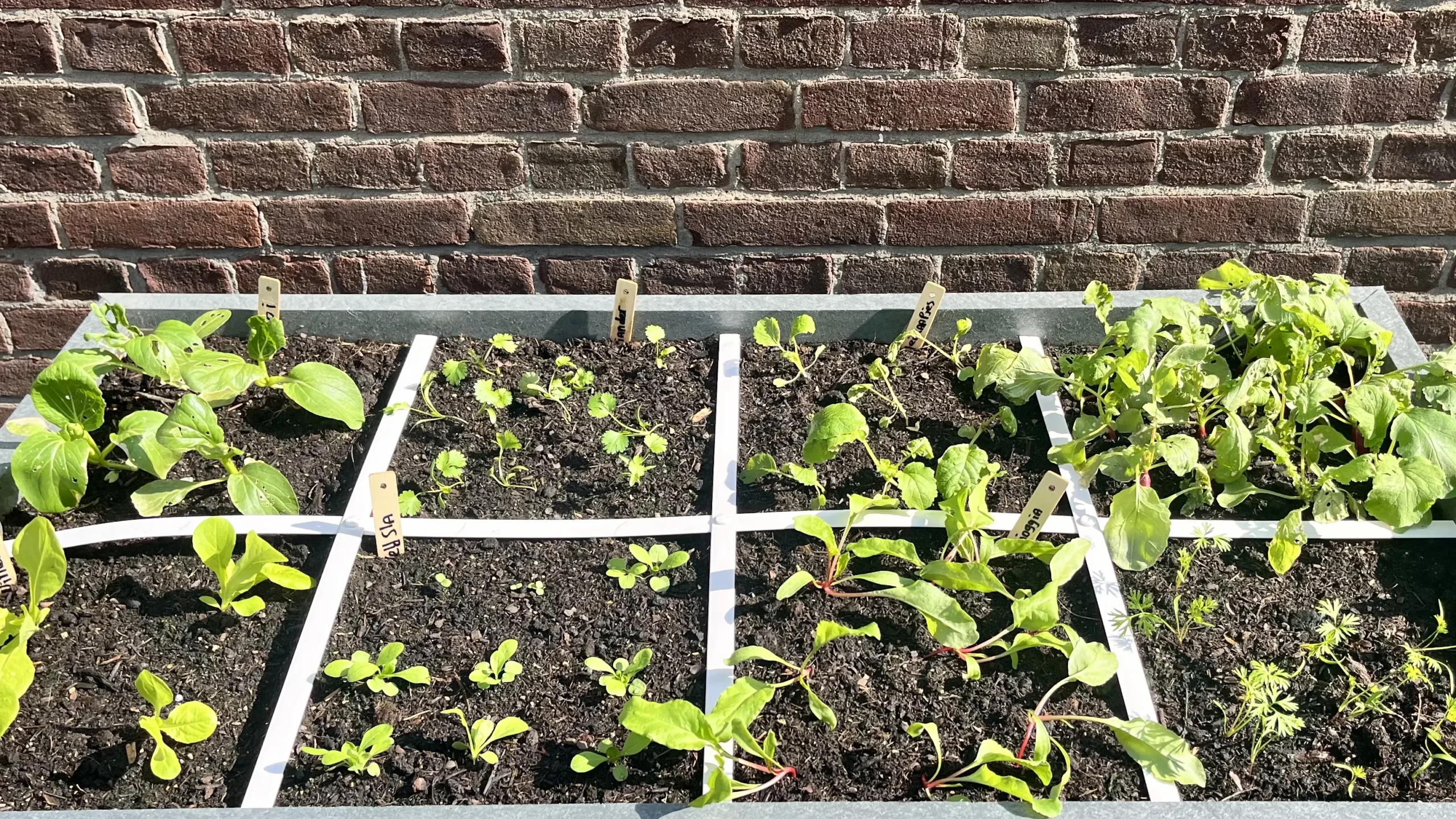 Makkelijke moestuin